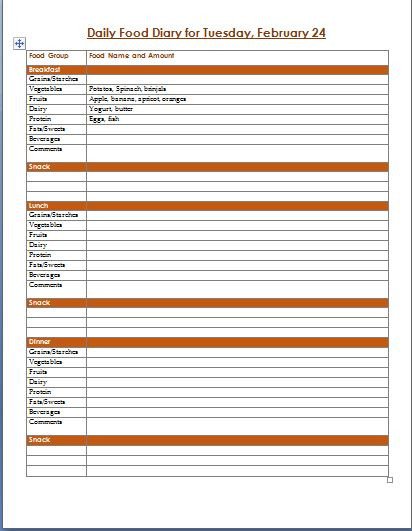 Microsoft Word Journal Templates Daily Food Diary and Log Template