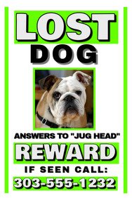 Missing Dog Flyer Template Customize 510 Pets Flyer Templates