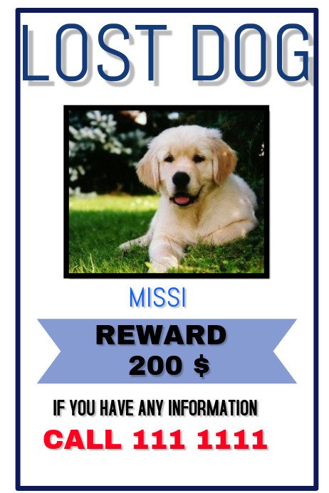 Missing Dog Flyer Template Lost Pet Template