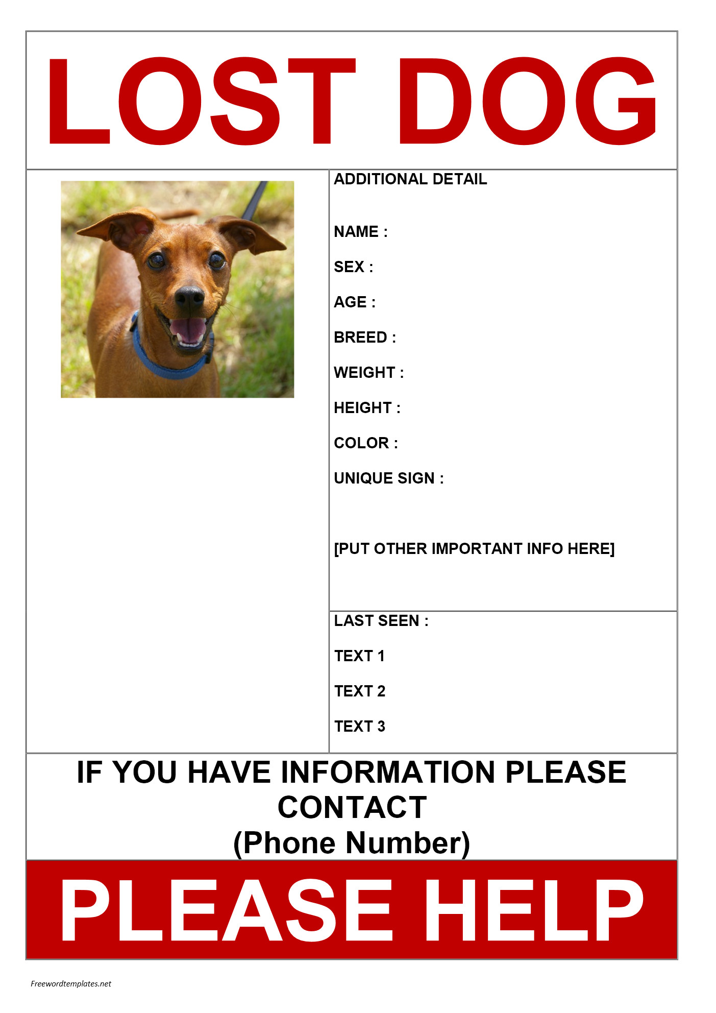 Missing Dog Flyer Template Missing Dog Poster