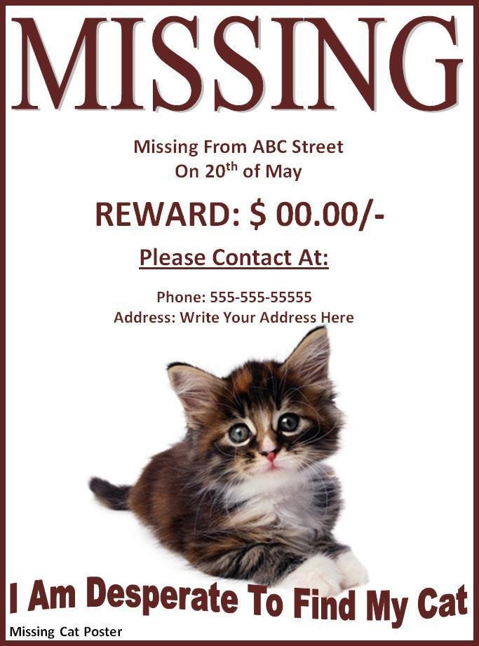 Missing Pet Poster Template 10 Missing Lost Pet Poster Templates