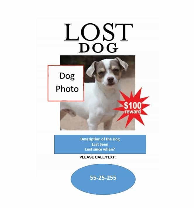 Missing Pet Poster Template 40 Lost Pet Flyers [missing Cat Dog Poster] Template