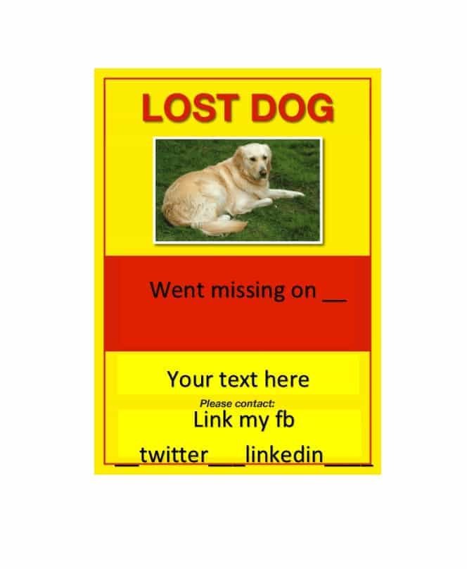 Missing Pet Poster Template 40 Lost Pet Flyers [missing Cat Dog Poster] Template