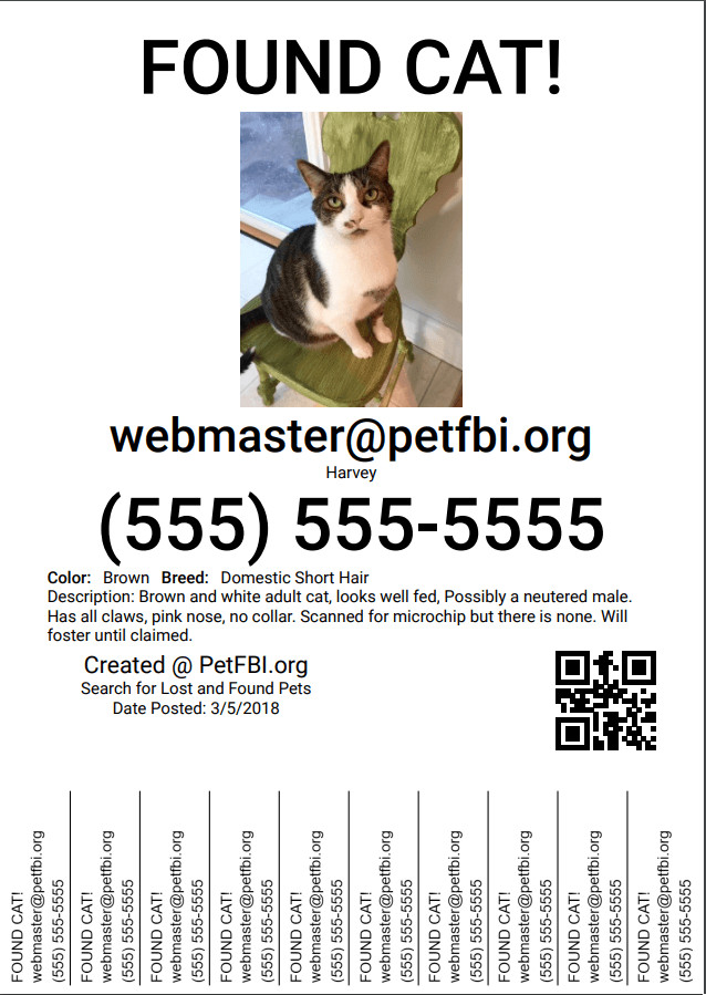 Missing Pet Poster Template Create A Lost or Found Pet Flyer
