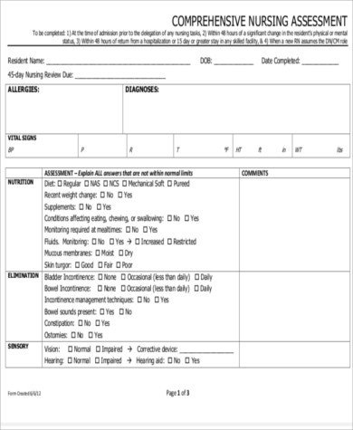 Nursing assessment form Template Nursing assessment Sample form 8 Examples In Word Pdf
