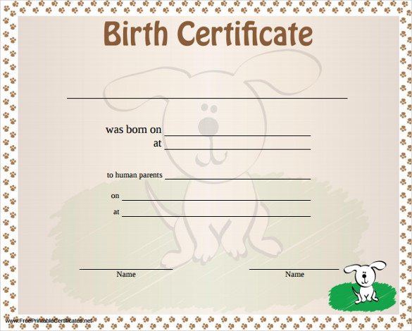 Official Birth Certificate Template Birth Certificate Template Printable Free Download