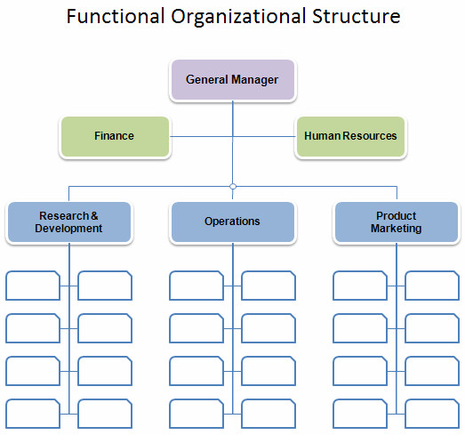 Organizational Chart Template Word Free organizational Chart Template Pany organization