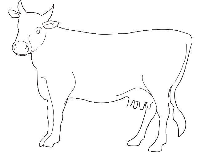 Outline Of A Cow Cow Template Animal Templates