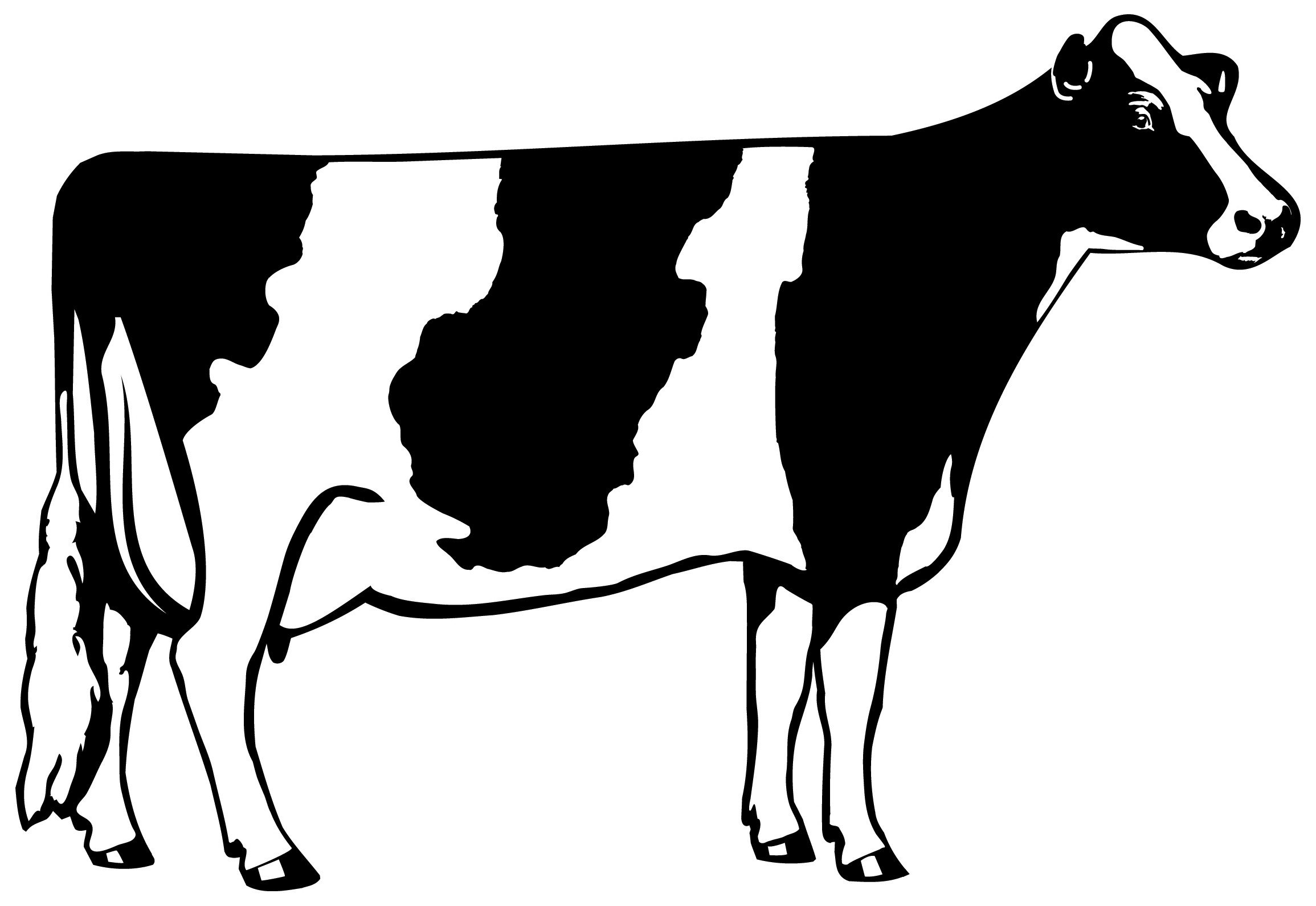 Outline Of A Cow Free Outline A Cow Download Free Clip Art Free Clip