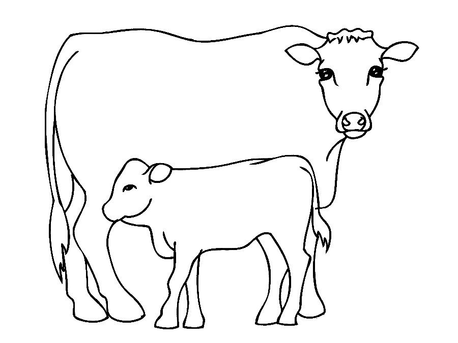 Outline Of A Cow Outline A Cow Cliparts