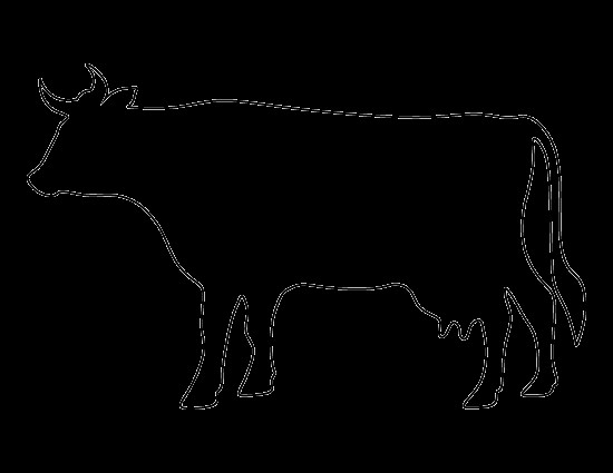 Outline Of A Cow Pin by Muse Printables On Printable Patterns at