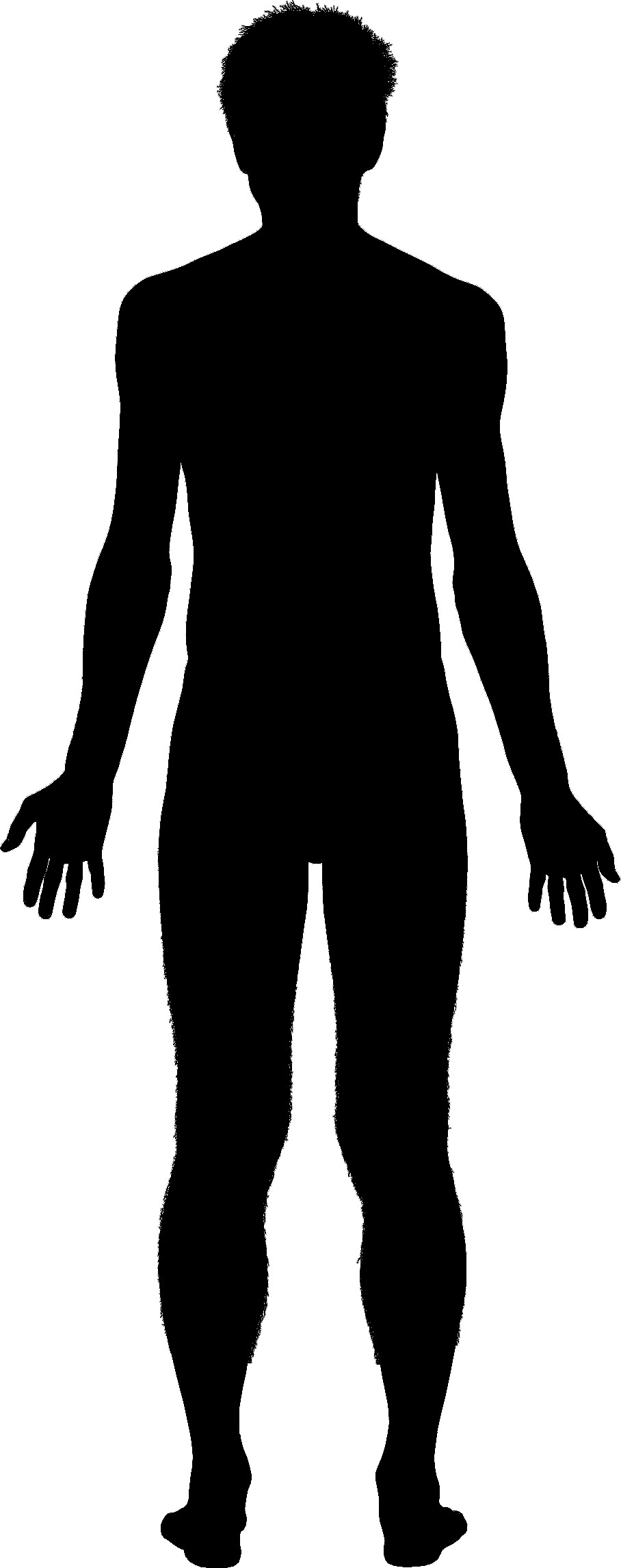 Outline Of A Human Png Human Body Outline Transparent Human Body Outline Png