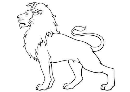 Outline Of A Lion 25 Best Ideas About Simple Lion Tattoo On Pinterest Outline Of A Lion 25 Best Ideas About Simple Lion Tattoo On Pinterest