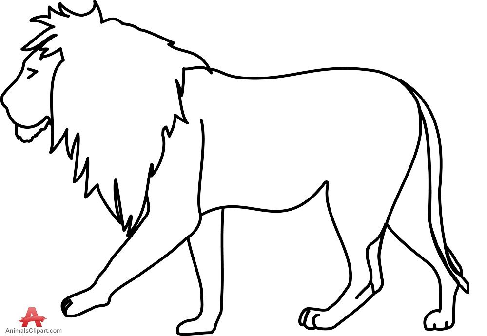 Outline Of A Lion Lion Black and White Outline Lion Clipart Drawing Free