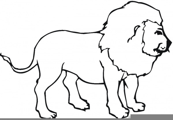 Outline Of A Lion Lion Clipart Outline