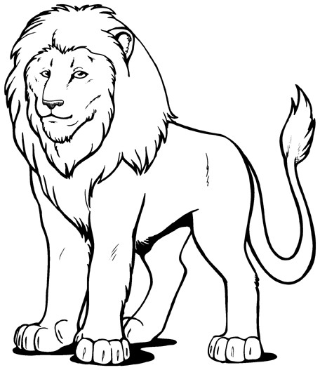 Outline Of A Lion Lion Outline Clipart Clipart Suggest
