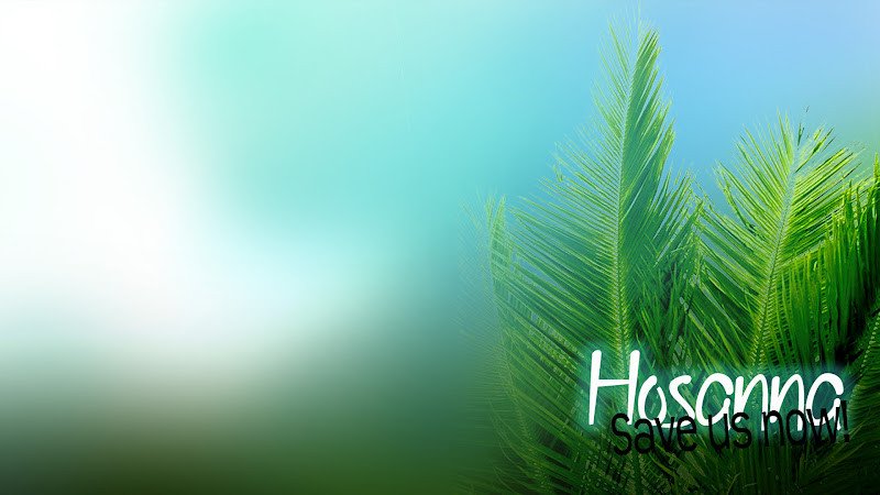 Palm Sunday Powerpoint Template Free thatjeffcarter Was Here March 2012