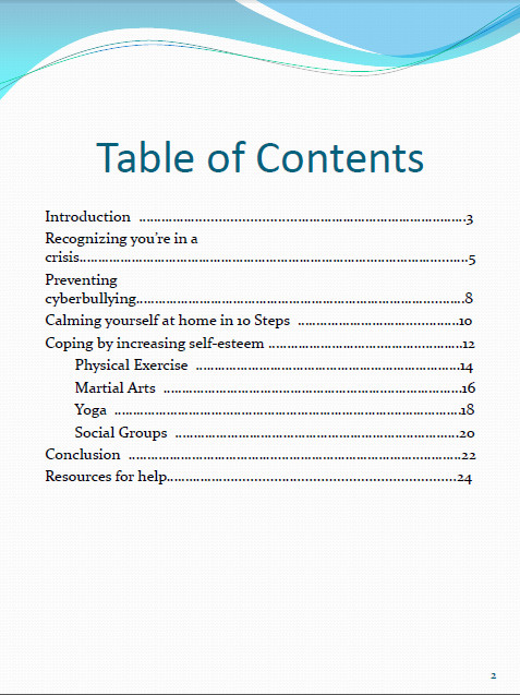 Portfolio Table Of Contents Template How to Counter Bullying Manual Teaser