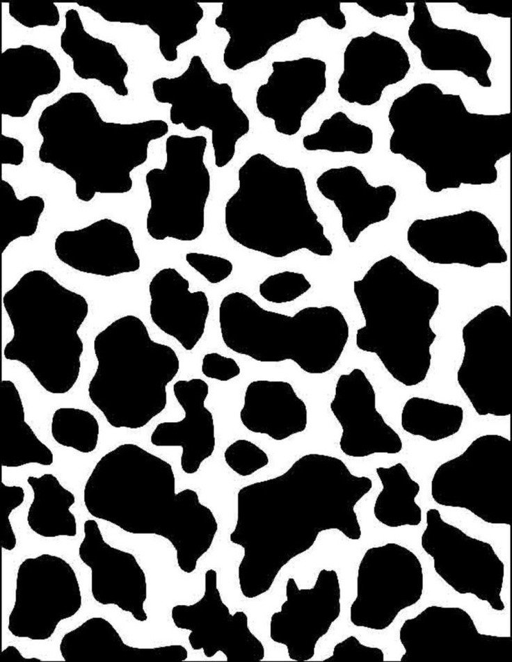 Printable Cow Spots 38 Best Images About Cow Wallpapers On Pinterest