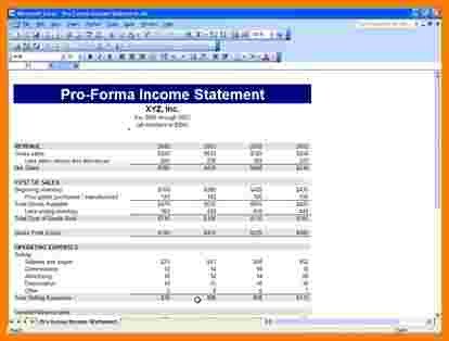 Pro forma Financial Statement Template 11 Pro forma Financial Statements Template
