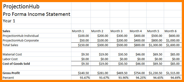 Pro forma Financial Statement Template 7 Pro forma In E Statement Template
