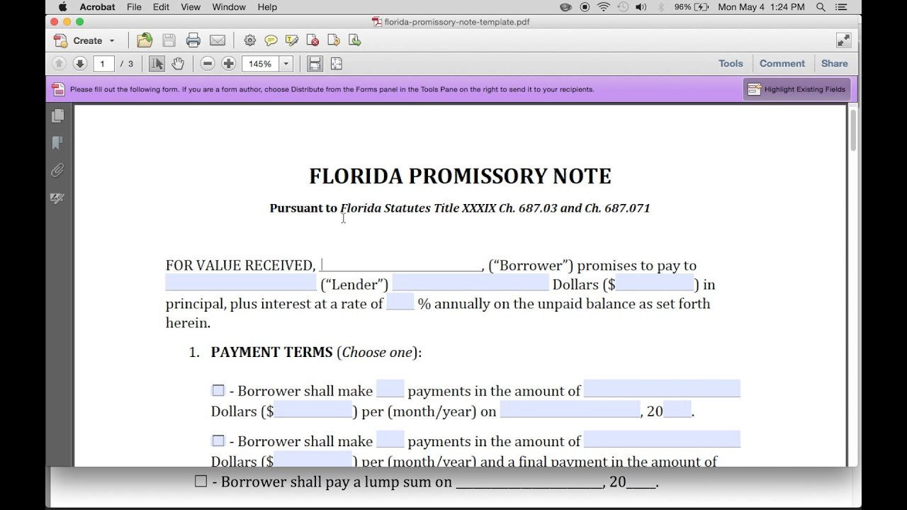 Promissory Note Template Florida How to Write A Florida Promissory Note