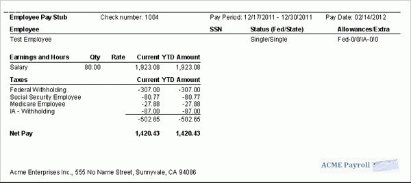 Quickbooks Check Template Word 9 Printable Paycheck Stubs