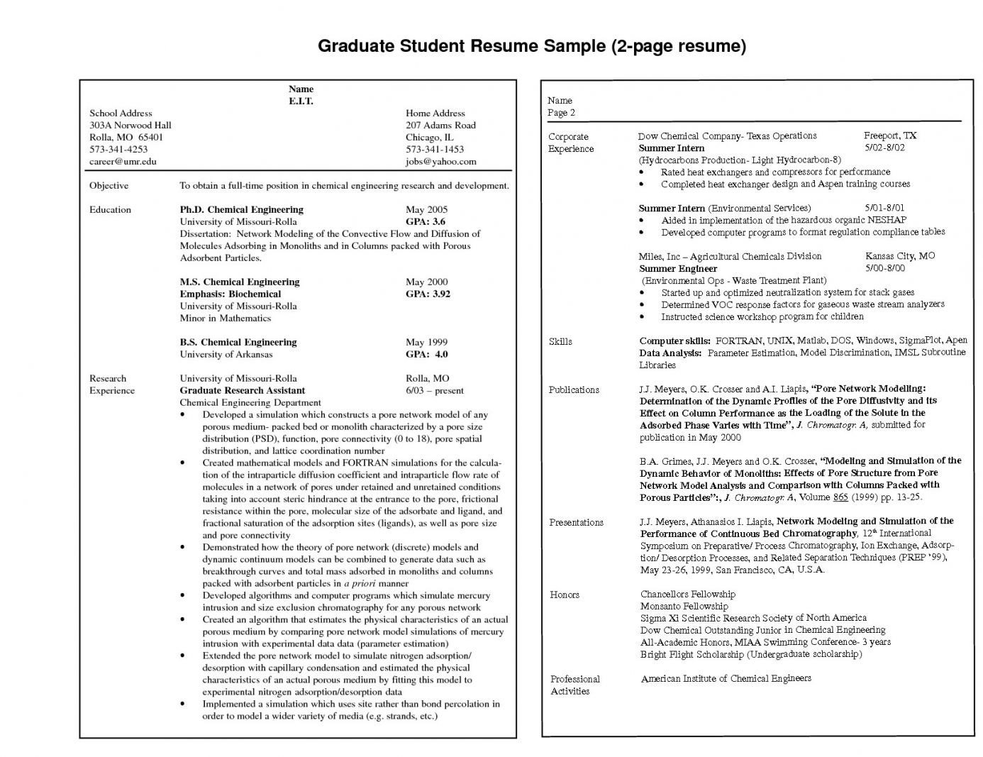 Resume Template for Pages Resume Examples 2 Pages Examples Pages Resume