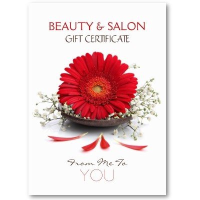 Salon Gift Certificates Templates Beauty Salon Gift Certificate Business Card Template by