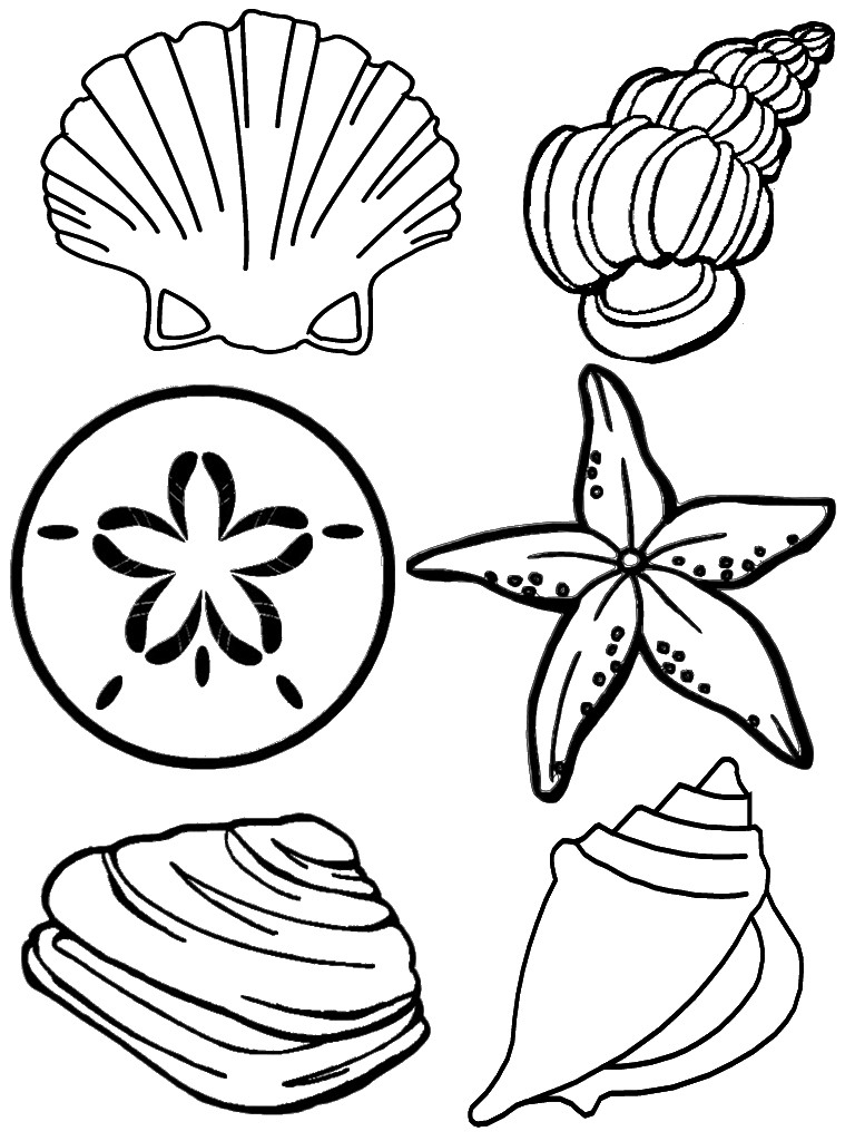 Seashell Template Free Printable Free Printable Seashell Coloring Pages for Kids