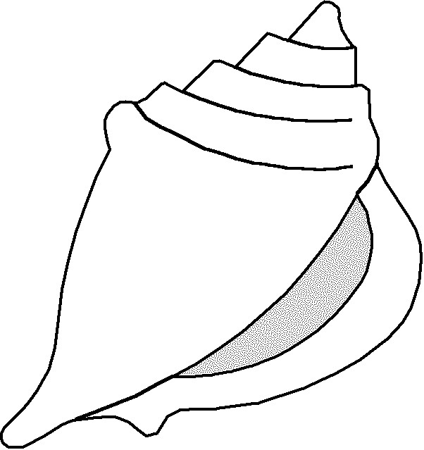Seashell Template Free Printable Shell Template Clipart Best
