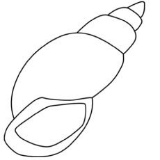 Seashell Template Free Printable top 25 Free Printable Shell Coloring Pages Line