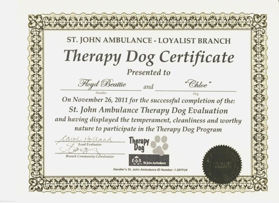 Service Dog Certificate Template Best Simplicity Printable Service Dog Certificate