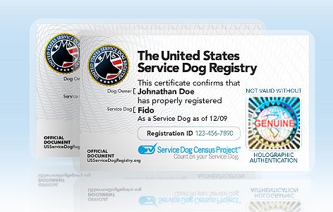 Service Dog Certificate Template Service Dog Certificate