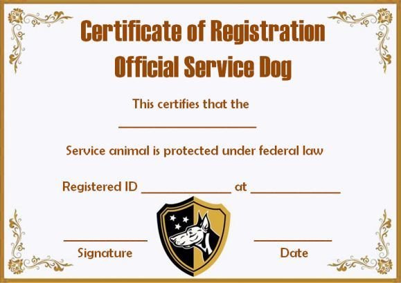 Service Dog Certificate Template Service Dog Papers Template