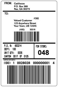 Shipping Label Templates Word Ups Shipping Label Template Word