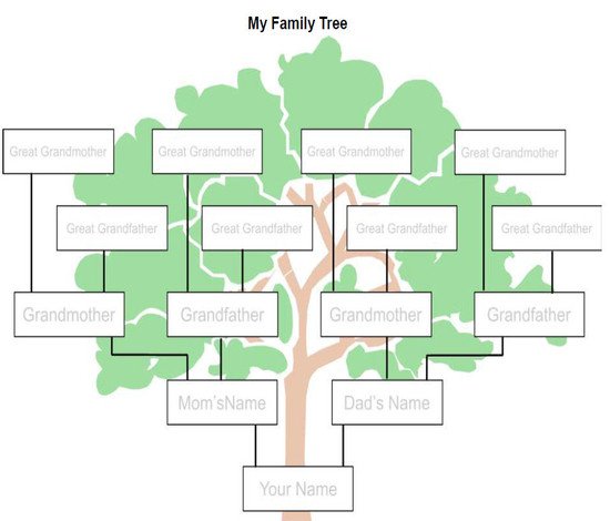 Simple Family Tree Template Home Design Games for Adults Matching Memory Games