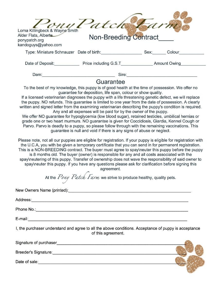 Spay and Neuter Contract Template Health Guarantee Miniature Schnauzer Edmonton