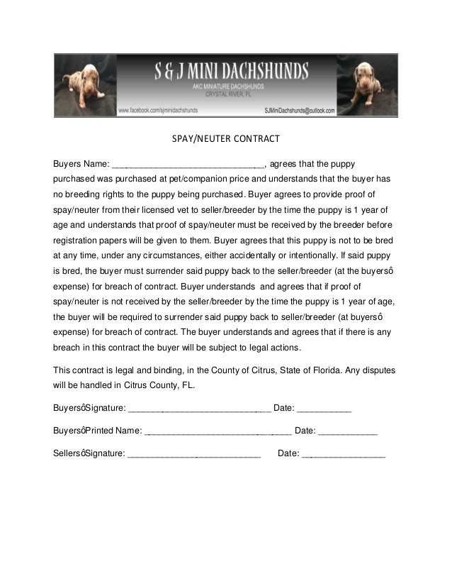Spay and Neuter Contract Template Spay Neuter Agreement Contract New S &amp; J Mini Dachshunds
