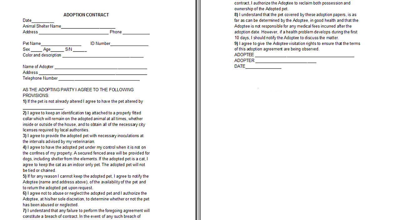Spay and Neuter Contract Template Yorkie Adoption Contract Yorkiepassion