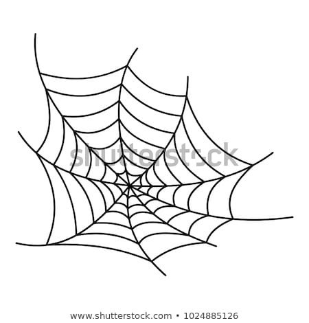 Spider Web Outline Spiderweb Stock Royalty Free &amp; Vectors