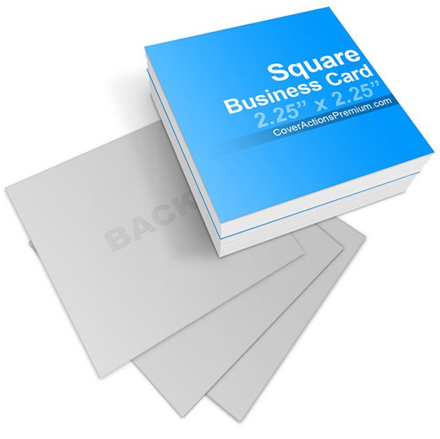 Square Business Card Mockup Square Business Card Mock Ups