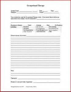 Therapist Progress Notes Template Documentation forms therapy Fun Zone
