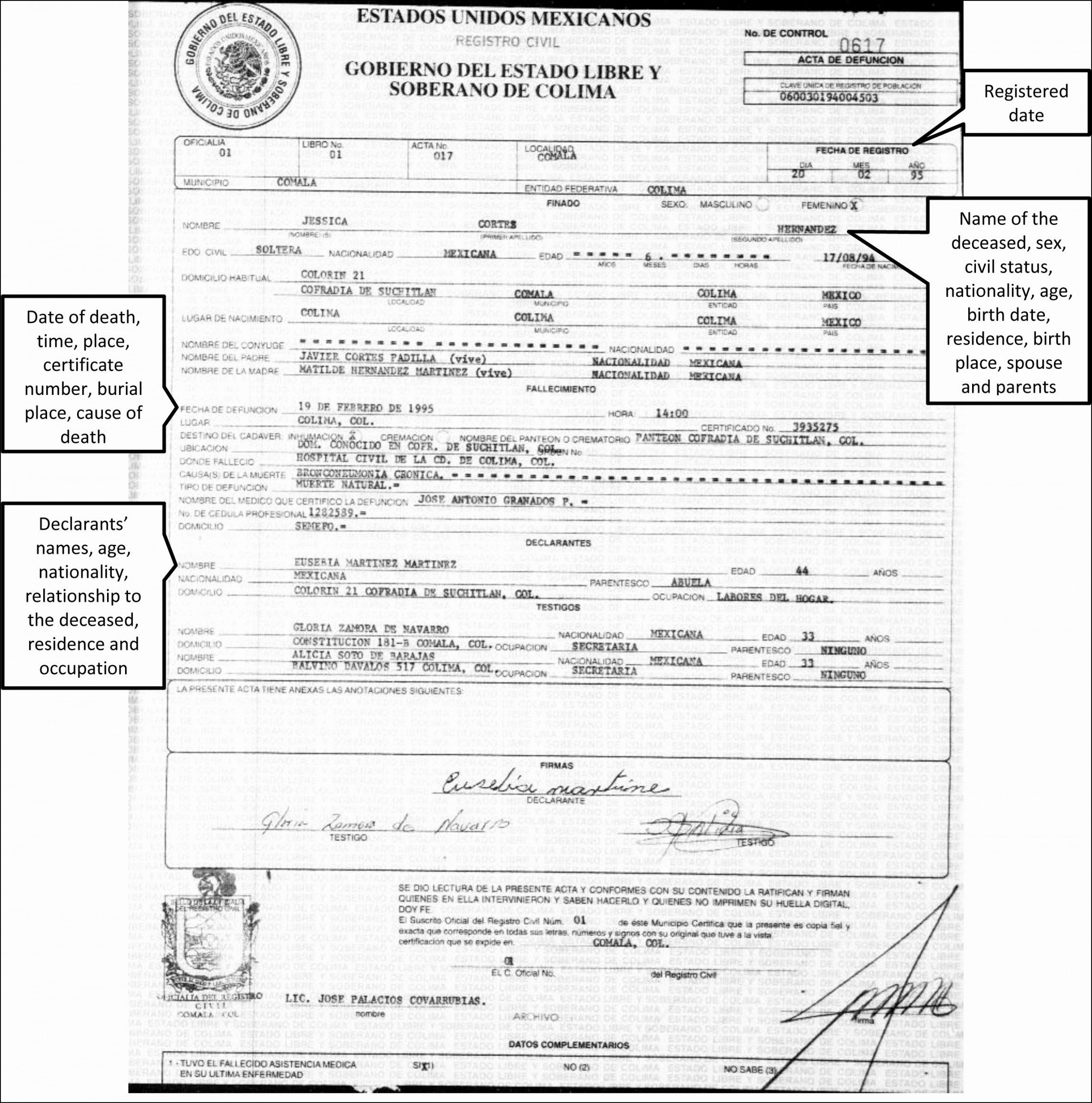 Translation Of Divorce Certificate Template Translation Divorce Certificate Template