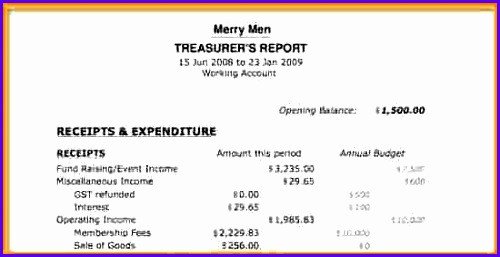 Treasurer Report Template Non Profit 8 Treasurer Report Template Excel Exceltemplates