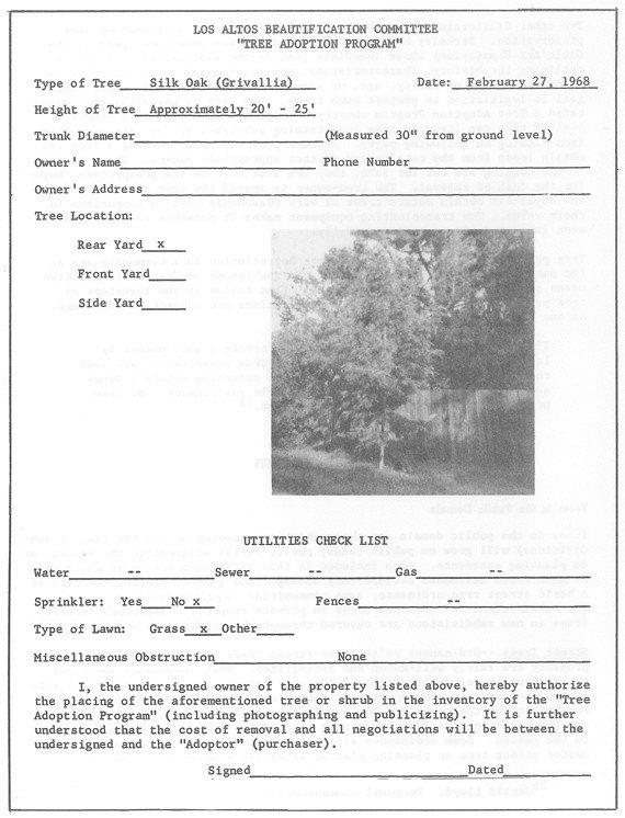 Tree Trimming Estimate Template Trees In the City