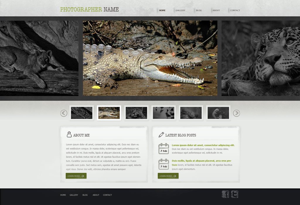 Web Template for Photographer Graphy Website Template