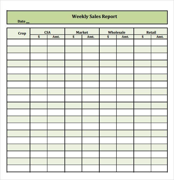 Weekly Sales Reports Templates Sample Sales Report 16 Example format