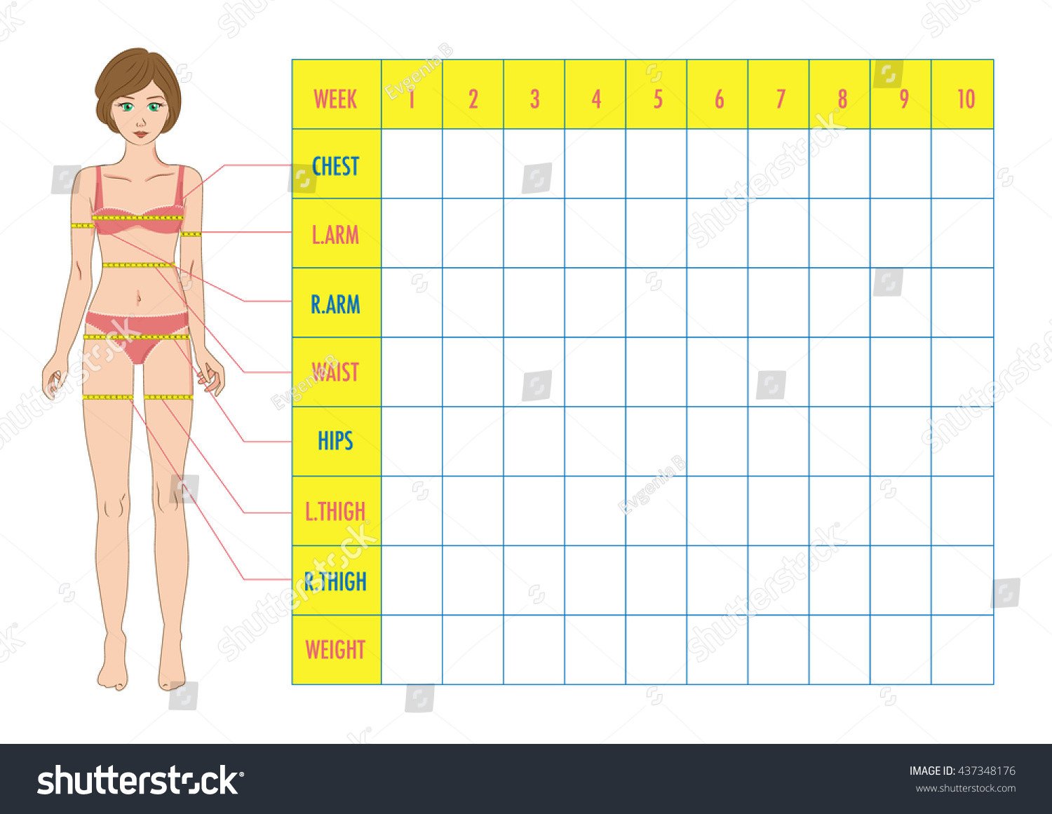 Weight Loss Measurement Charts Measurement Chart Body Parameters Sport Diet Stock Vector