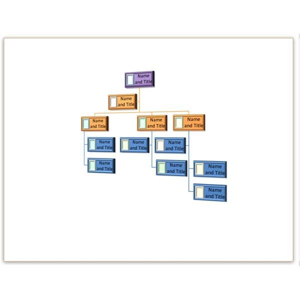 Word organization Chart Template Two Free Blank organizational Chart Template to Download